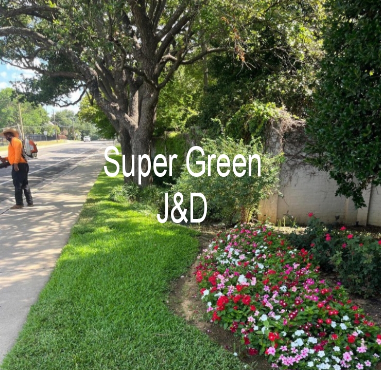 Super Green J&D LLC